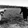 Collective Actions / Kollektivnye Deistviia ‘Place of Action’ (1979)  Moscow region, Savyolovskaya railway line, near village Kyevy Gorky. Photo: Kollektivnye Deistviia.