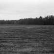 Collective Actions / Kollektivnye Deistviia ‘Comedy’ (1977)  Moscow region, Savyolovskaya railway line, near village Kyevy Gorky. Photo: Kollektivnye Deistviia.