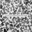 Ivana Keser Battista: Local-Global art newspapers (1993-2003) A Luck is a Mutation with Four Leafs, Zagreb,1994