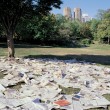 Ivana Keser Battista: Local-Global art newspapers (1993-2003) The exhibition installation of the Local newspapers, Central Park New York, 1997
